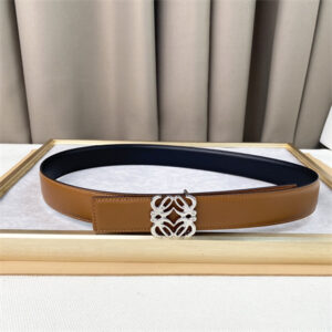 Loewe Belt In Calfskin 30MM Silver Hardware Brown/Black
