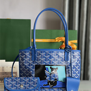 Goyard Anjou Mini Bag Chevroches Calfskin & Goyardine Canvas