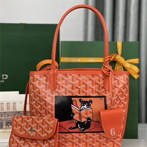 Goyard Anjou Mini Bag Chevroches Calfskin & Goyardine Canvas