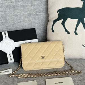 Chanel Wallet On Chain Grained Calfskin Silver Tone Metal Beige AP0250