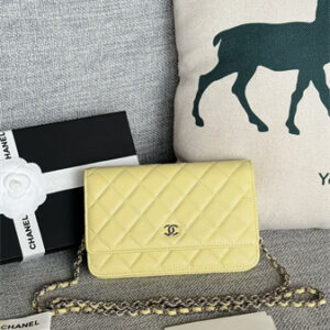 Chanel Wallet On Chain Grained Calfskin Silver Tone Metal Yellow AP0250