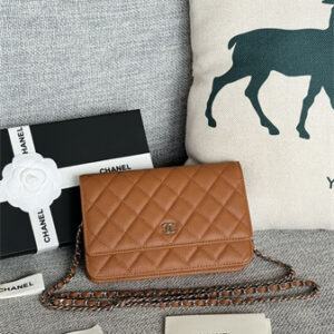 Chanel Wallet On Chain Grained Calfskin Silver Tone Metal Brown AP0250