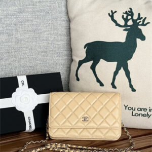 Chanel Wallet On Chain Lambskin Silver Tone Metal Beige AP0250