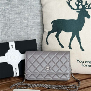 Chanel Wallet On Chain Lambskin Silver Tone Metal Grey AP0250