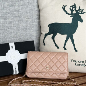 Chanel Wallet On Chain Lambskin Gold Tone Metal Pink AP0250