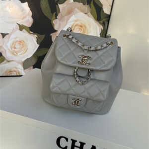 Chanel Duma Backpack Lambskin Gold Tone Metal Grey AS2908