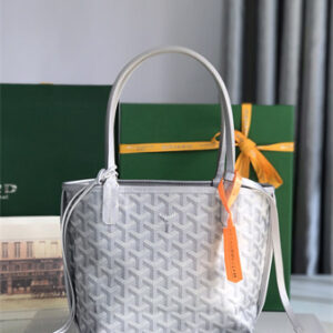 Goyard Anjou Mini Bag Chevroches Calfskin & Goyardine Canvas