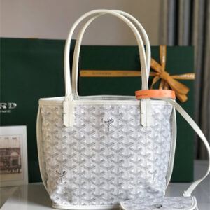 Goyard Anjou Mini Bag Chevroches Calfskin & Goyardine Canvas