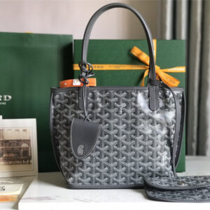 Goyard Anjou Mini Bag Chevroches Calfskin & Goyardine Canvas