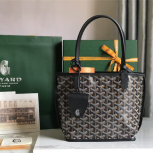Goyard Anjou Mini Bag Chevroches Calfskin & Goyardine Canvas