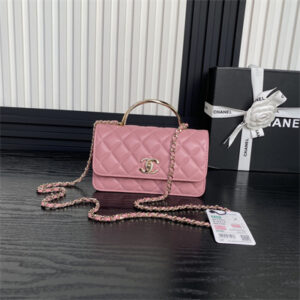 Chanel Clutch with Chain Lambskin, Strass & Gold-Tone Metal Pink AP4293