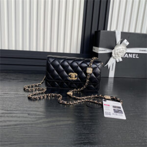 Chanel Clutch with Chain Lambskin, Strass & Gold-Tone Metal Black AP4300