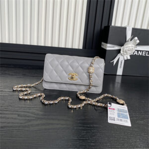 Chanel Clutch with Chain Lambskin, Strass & Gold-Tone Metal Grey AP4300