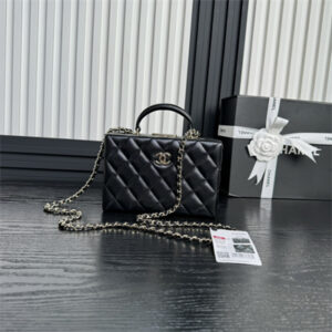 Chanel Small box bag Lambskin & Gold-Tone Metal  Black AS5167