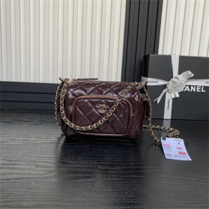 Chanel Small Camera Case Shiny Crumpled Lambskin & Gold-Tone Metal Burgundy AS5220