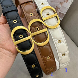 Dior Belts In Lambskin 30MM Gold Hardware Color Options