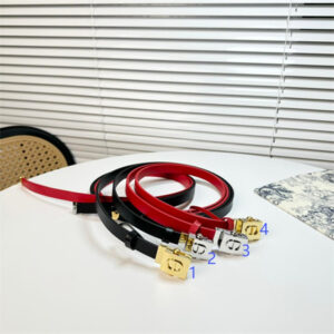 Dior Belts In Calfskin 17MM Gold/Silver Hardware Color Options