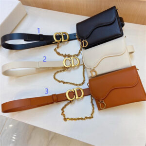 Dior Belt With Bag In Calfskin 20MM Gold Hardware Color Options