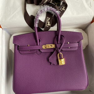 Bir.kin Bag Togo Leather 25/30/35 Gold/Silver Hardware In Anemone Color HS