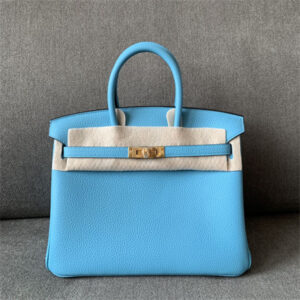 Bir.kin Bag Togo Leather 25/30/35 Gold/Silver Hardware In Blue du Nord Color HS