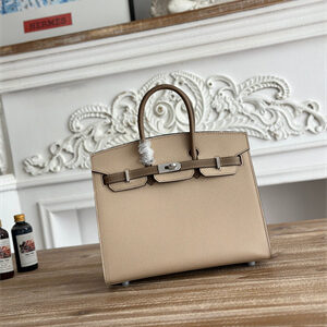 Bir.kin Sellier Bag Epsom Leather 25CM Gold/Silver Hardware In Trench/Etoupe HS