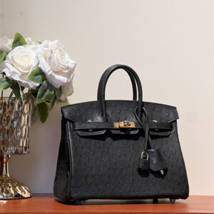 Bir.kin Bag Ostrich Leather 25 Gold/Silver Hardware In Black HS