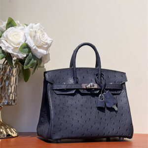 Bir.kin Bag Ostrich Leather 25 Gold/Silver Hardware In Navy HS