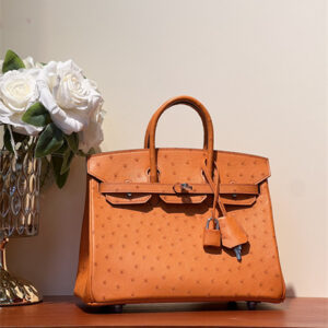 Bir.kin Bag Ostrich Leather 25 Gold/Silver Hardware In Orange HS