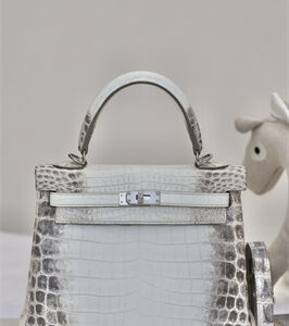 Kelly Retourne Bag 25 Himalayan Niloticus Silver Hardware HS