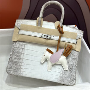 Bir.kin Himalayan Bag 25 Niloticus Silver Hardware HS