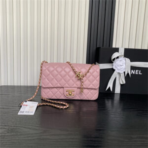 Chanel Small Flap Bag Lambskin Gold Tone Metal Pink AS5756