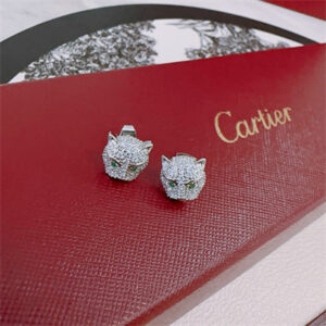 Cartier Earrings 38859