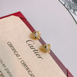 Cartier Earrings 38860