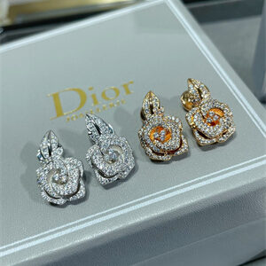 Dior Earrings 38981